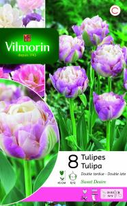 Tulipe Double Tardive Sweet Desire (x8)